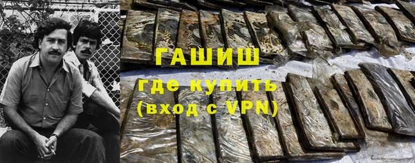 гашик Алексин