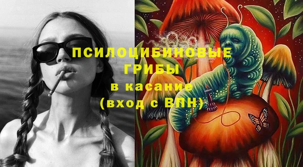 гашик Алексин