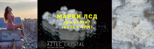 гашик Алексин