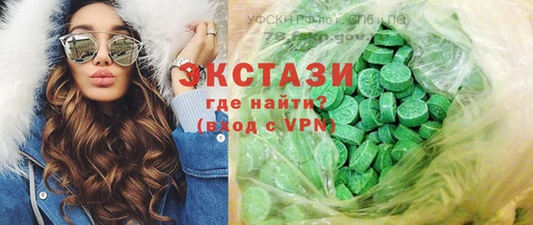 гашик Алексин