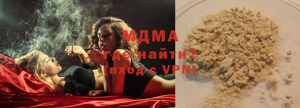 гашик Алексин