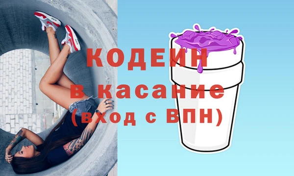 гашик Алексин