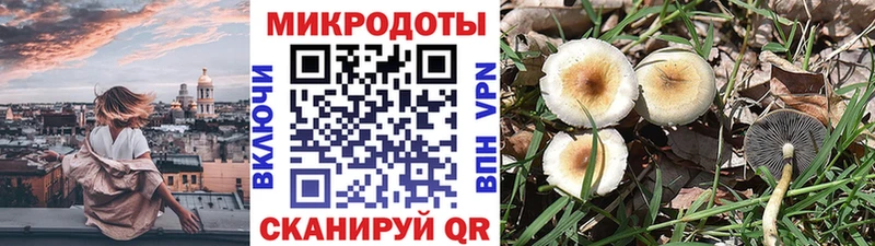 Псилоцибиновые грибы GOLDEN TEACHER  нарко площадка как зайти  Нефтекамск 